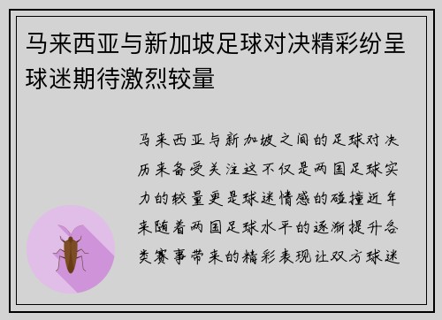 马来西亚与新加坡足球对决精彩纷呈球迷期待激烈较量