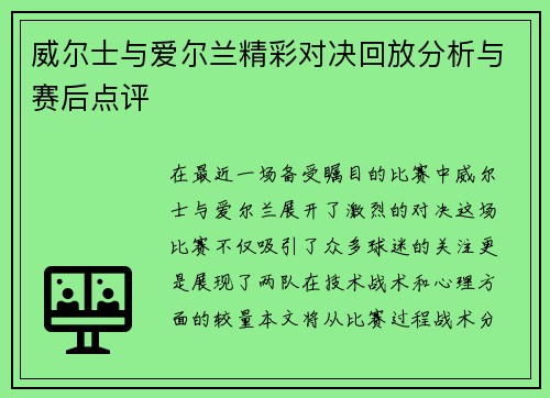 威尔士与爱尔兰精彩对决回放分析与赛后点评